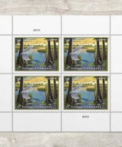 2023 Florida Everglades Express