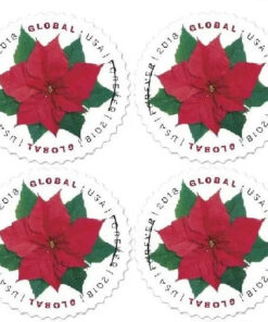 2018 Global Poinsettia International