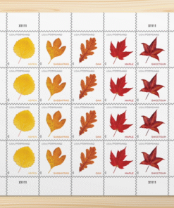 2025 Vibrant Leavea Postcard (For Postcard Only)