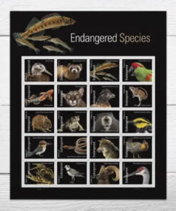 2023 Endangered Species