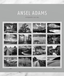 2024 Ansel Adams Landscape