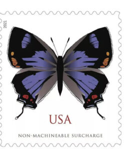 2021 Colorado Hairstreak