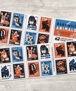 2025 Baby Wild Animals