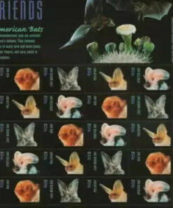 2002 Night Friends American Bats