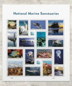 2022 National Marine Sanctuaries