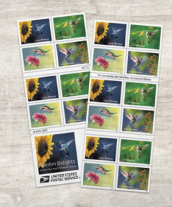 2024 Garden Delights