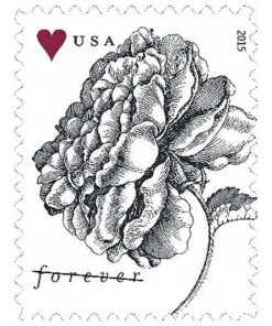 2015 Engraved Vintage Rose