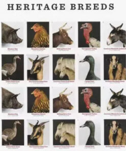 2021 Heritage Breeds