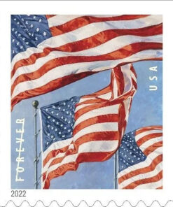 2022 U.S. Flag